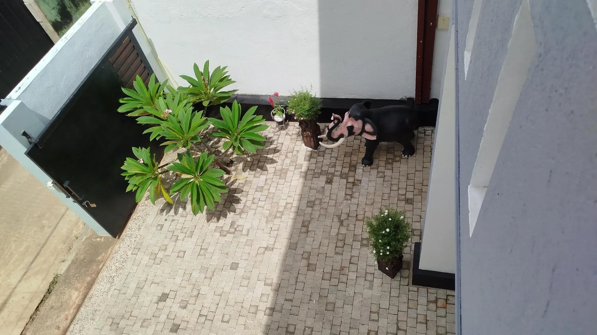 Hotel Elzangi à Negombo Sri Lanka